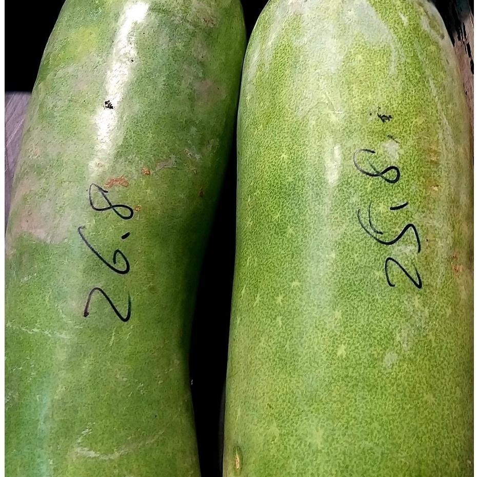 【全館999免運】大叔嚴選~冬瓜 1片/約600克±10%-細節圖2