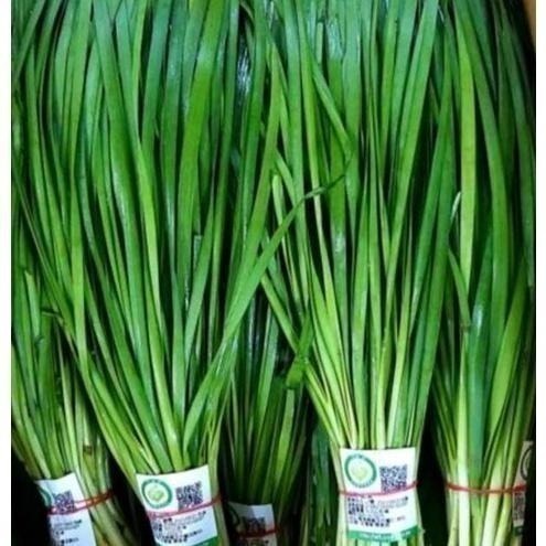 【全館999免運】大叔嚴選~韭菜 約300克±10%-細節圖2