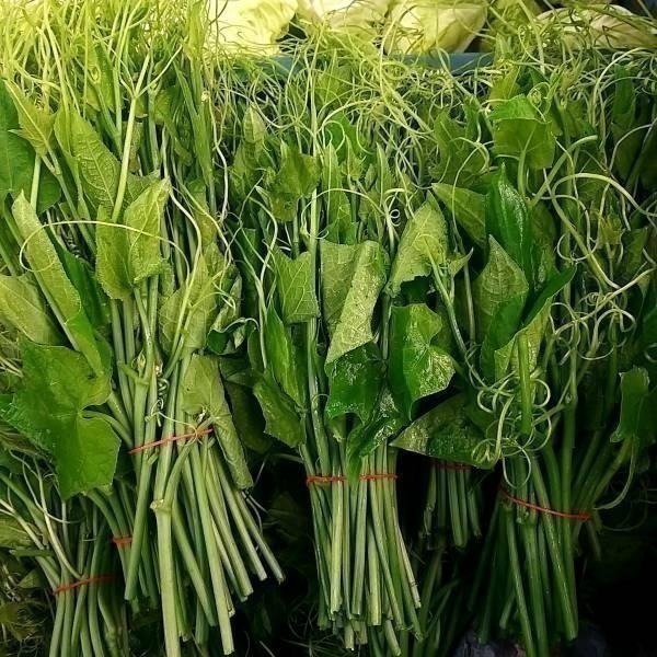 【全館999免運】大叔嚴選~龍鬚菜(奮起湖) 約300克±10%-細節圖2