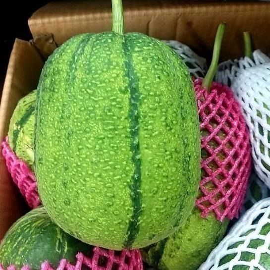 【全館999免運】大叔嚴選~小玉絲瓜(黑金剛) 1顆/約500克±10%-細節圖2