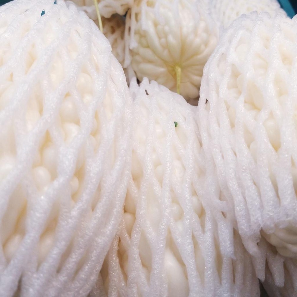 【全館999免運】大叔嚴選~白苦瓜(特) 1顆/約500-600克±10%-細節圖2