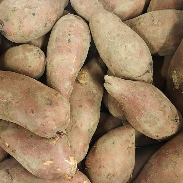 【全館999免運】大叔嚴選~紅心地瓜 2顆/約600克±10%-細節圖2