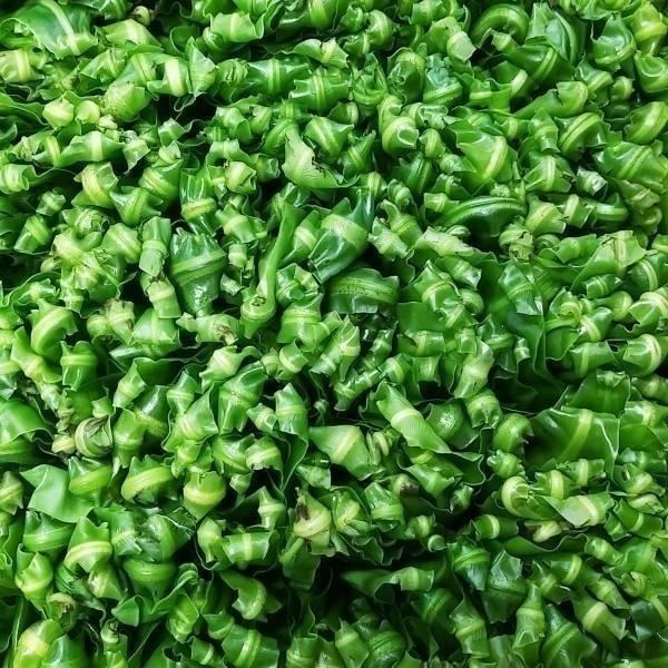 【全館999免運】大叔嚴選~山蘇  約300克±10%-細節圖2