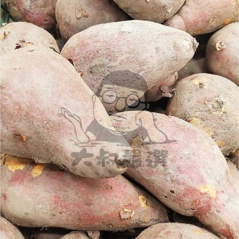 【全館999免運】大叔嚴選~栗子地瓜 約600克±10%-細節圖2
