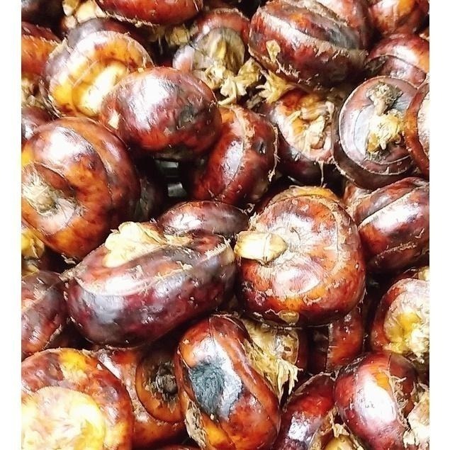 【全館999免運】大叔嚴選~荸薺有殼 約600克±10%-細節圖2