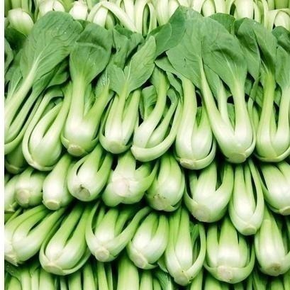 【全館999免運】大叔嚴選~青江菜 約300克±10%-細節圖2