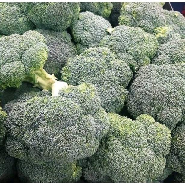 【全館999免運】大叔嚴選~綠花椰(進口) 約600克±10%-細節圖2