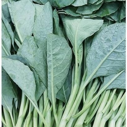 【全館999免運】大叔嚴選~芥藍菜 約300克±10%-細節圖2