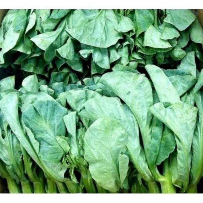 【全館999免運】大叔嚴選~芥藍花 約300克±10%-細節圖2