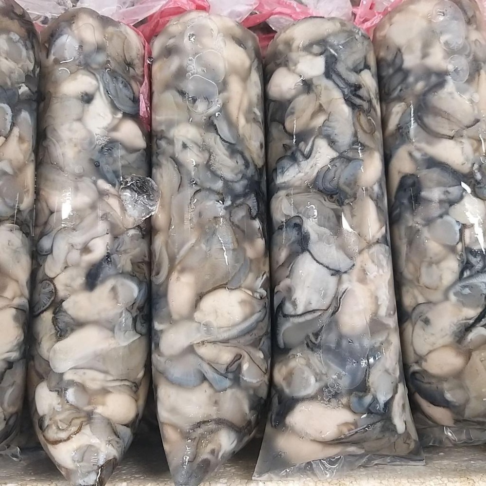 【全館999免運】大叔嚴選~東石蚵仔 約600克±10%-細節圖2