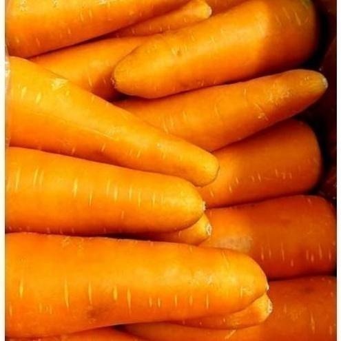 【全館999免運】大叔嚴選~紅蘿蔔(2-3根) 約600克±10%-細節圖2