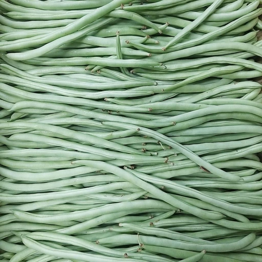 【全館999免運】大叔嚴選~四季豆 約300克±10%-細節圖2