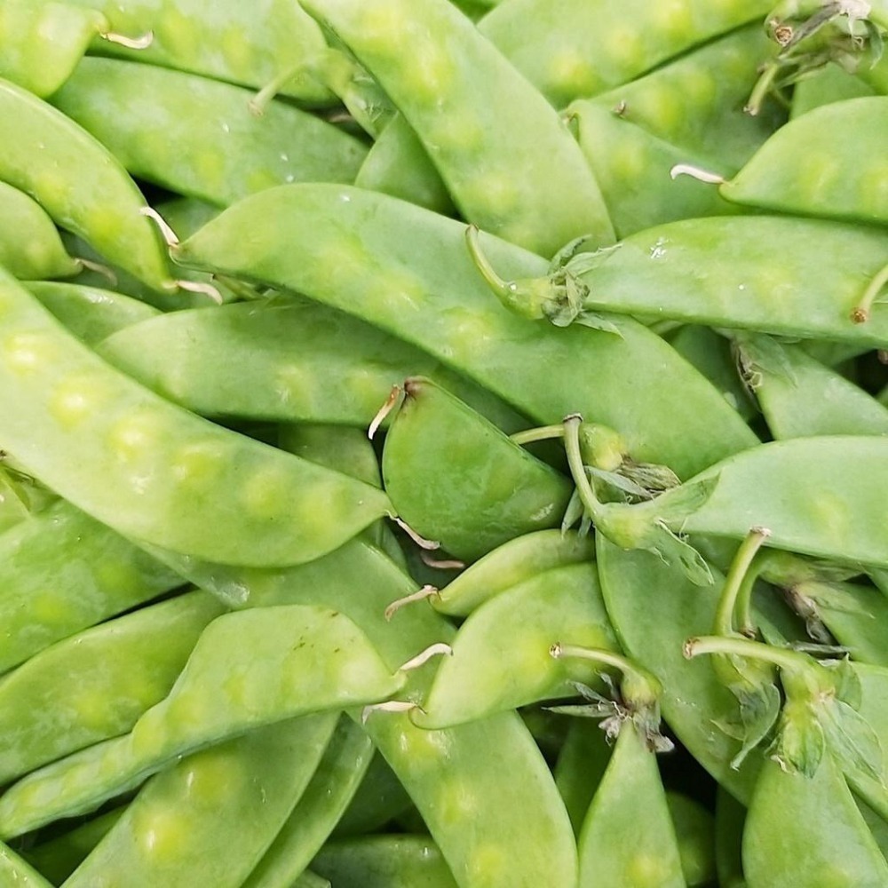 【全館999免運】大叔嚴選~荷蘭豆 約300克±10%-細節圖2