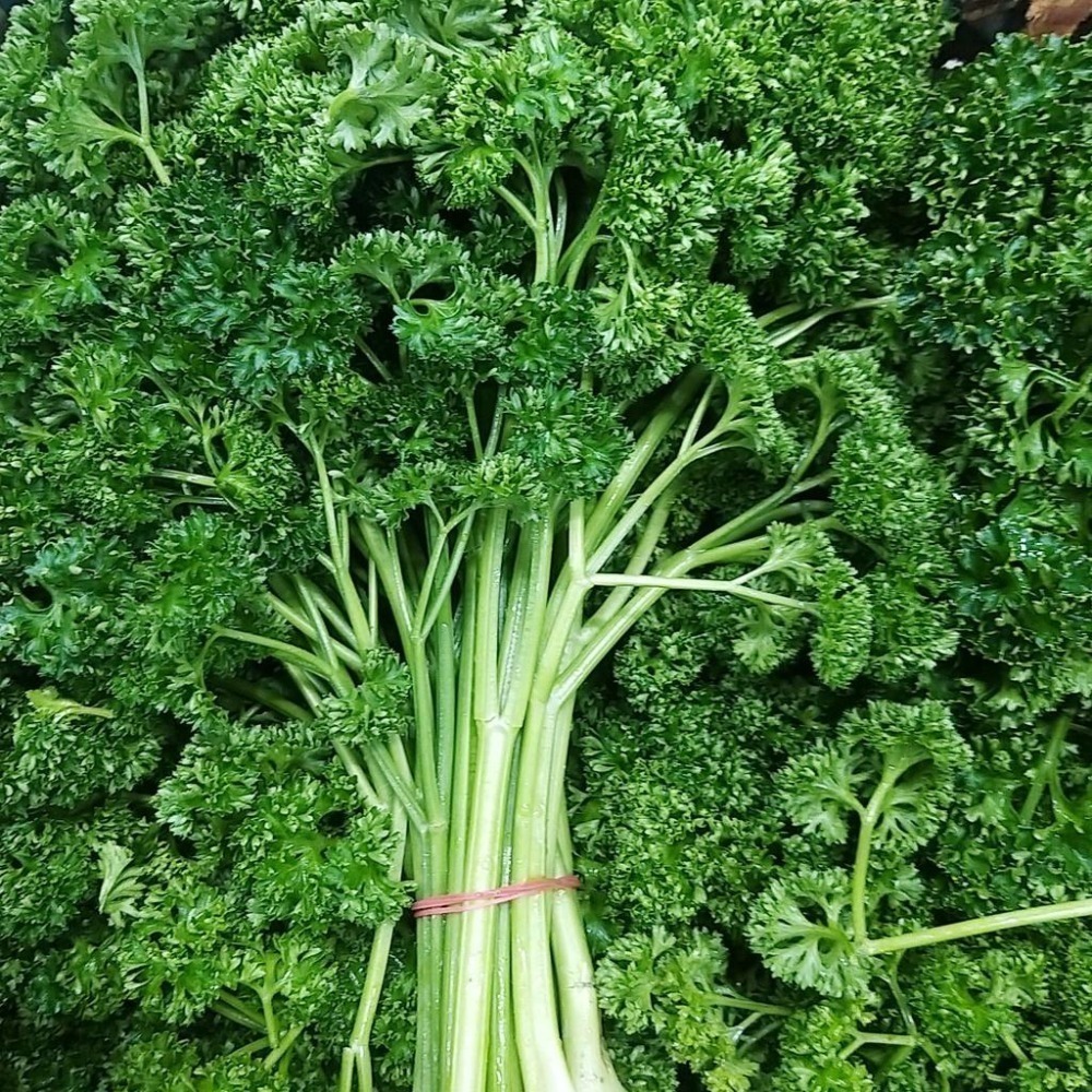 【全館999免運】大叔嚴選~生鮮捲葉巴西里/巴西利 約300克±10%-細節圖2