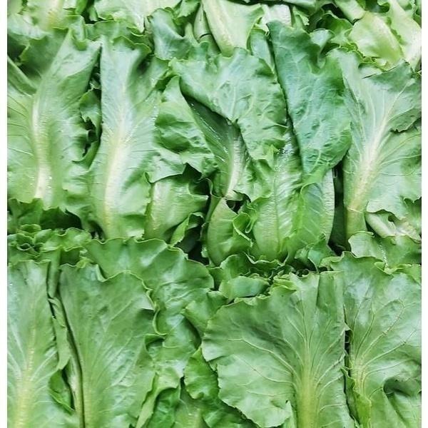 【全館999免運】大叔嚴選~大陸妹 約300克±10%-細節圖2