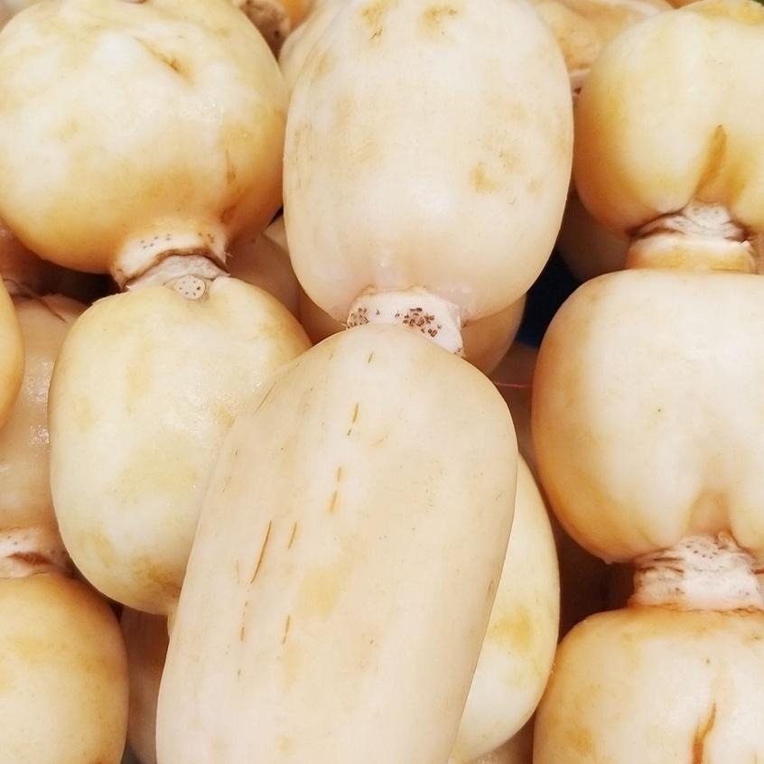 【全館999免運】大叔嚴選~水洗蓮藕 約600克±10%-細節圖2