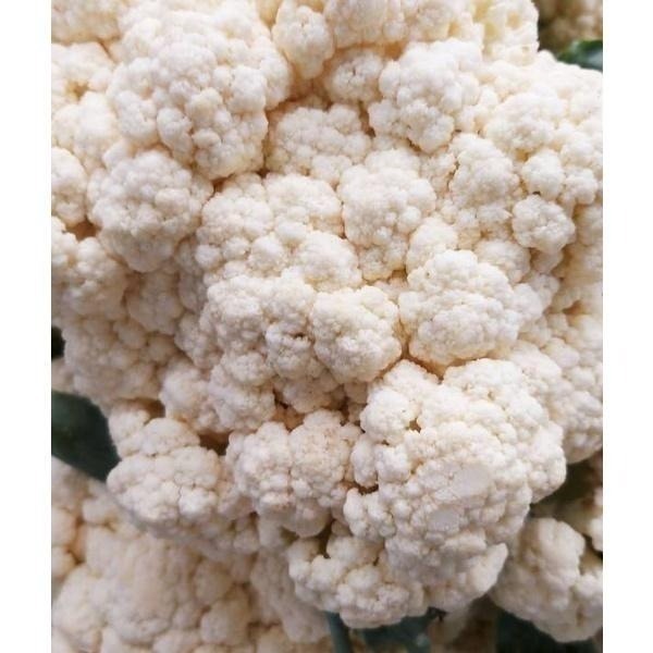 【全館999免運】大叔嚴選~白花椰 約600克±10%-細節圖2