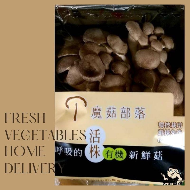 【全館999免運】大叔嚴選~黑美人菇 約150克±10%-細節圖2