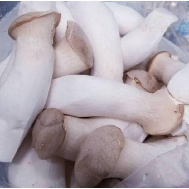 【全館999免運】大叔嚴選~A級杏鮑菇(小) 約600克±10%-細節圖2