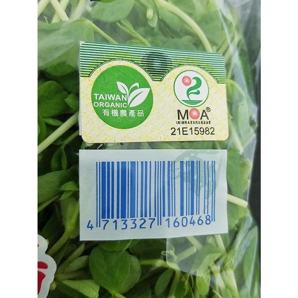 【全館999免運】大叔嚴選~豌豆苗 約300克±10%-細節圖3