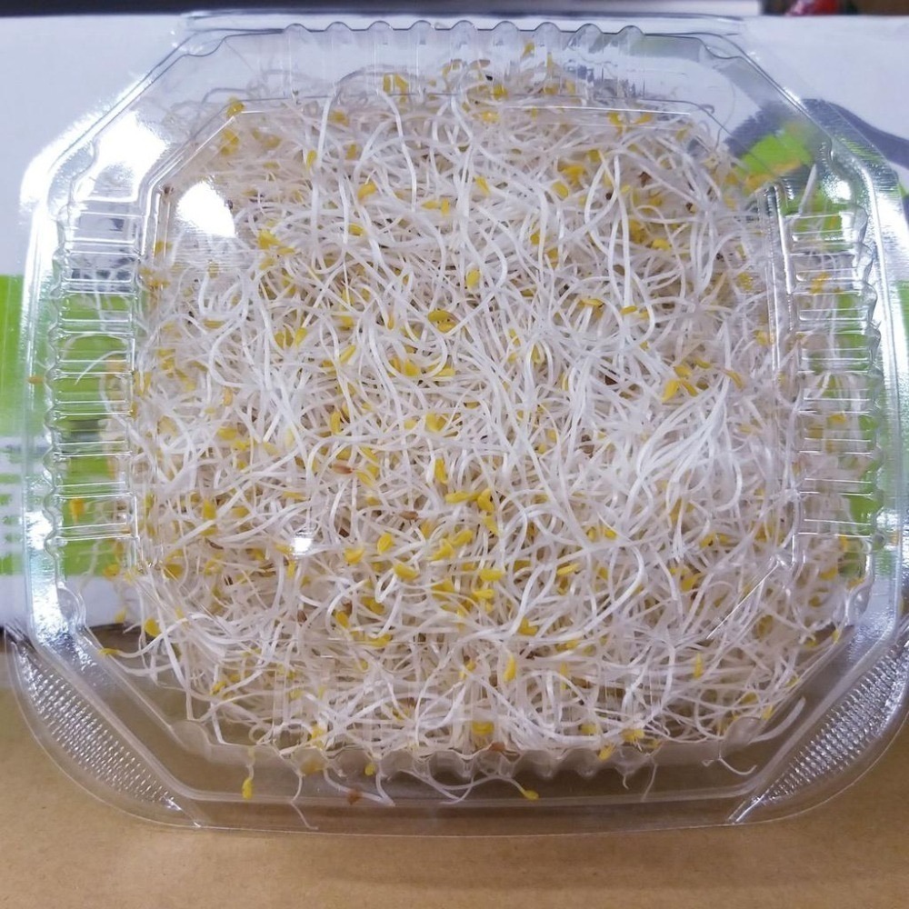 【全館999免運】大叔嚴選~苜蓿芽 約100克(盒裝)-細節圖2