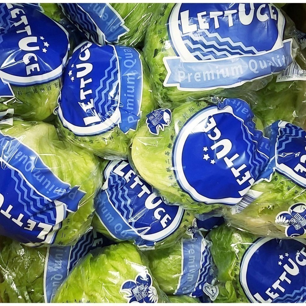 【全館999免運】大叔嚴選~美生菜 約500~600克±10%-細節圖2