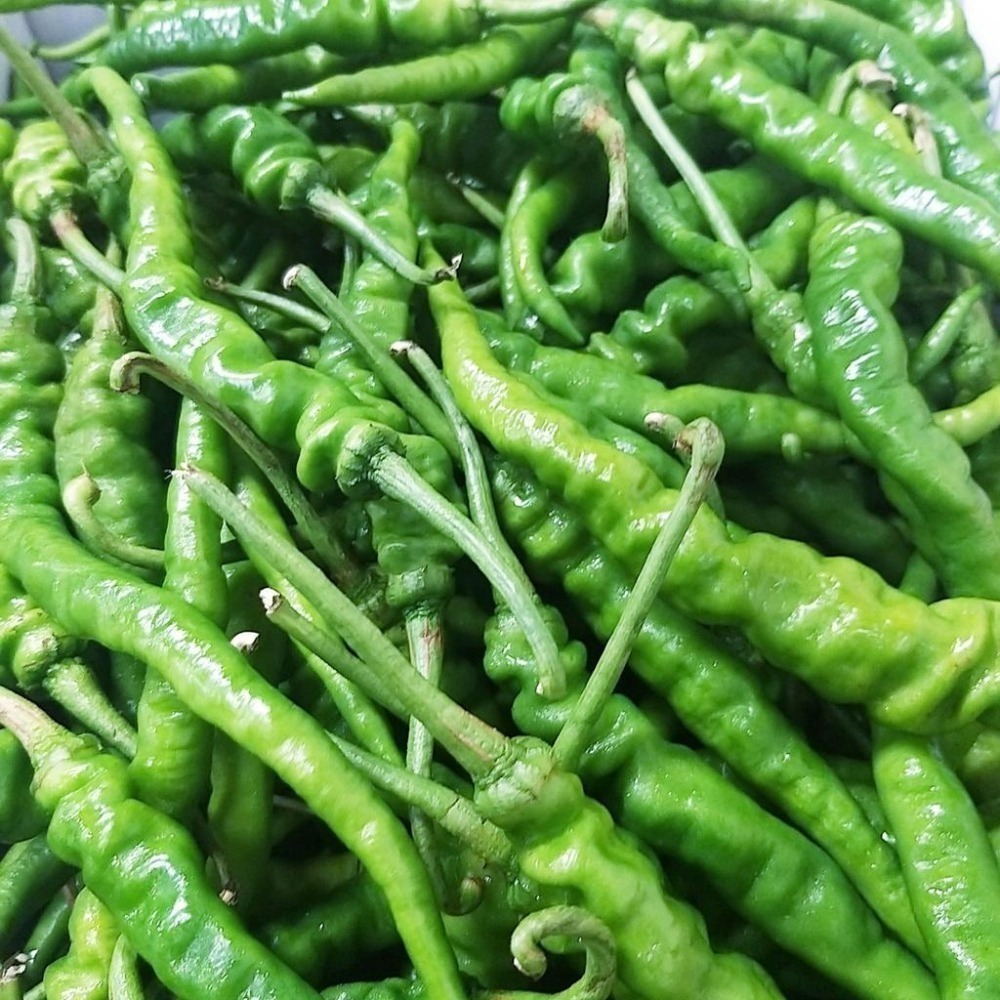 【全館999免運】大叔嚴選~糯米椒 約300克±10%-細節圖2