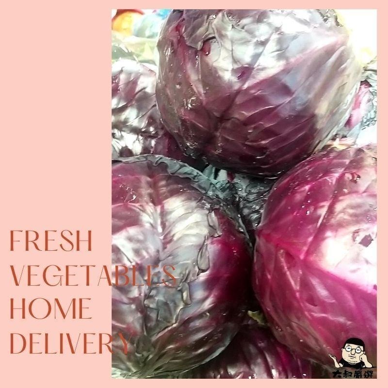 【全館999免運】大叔嚴選~紫甘藍(紫高麗菜) 約900克±10%-細節圖2