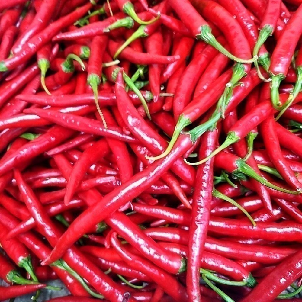 【全館999免運】大叔嚴選~紅辣椒 約300克±10%-細節圖2
