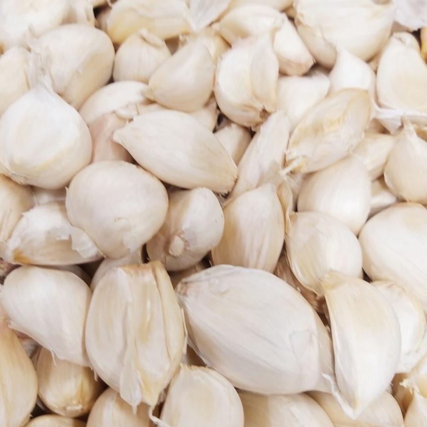 【全館999免運】大叔嚴選~蒜頭 約300克±10%-細節圖2