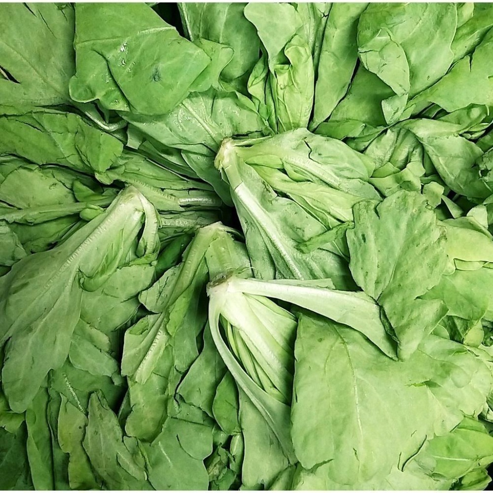 【全館999免運】大叔嚴選~茼蒿 約300克±10%-細節圖2