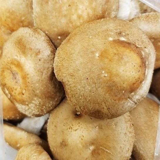 【全館999免運】大叔嚴選~新鮮香菇 約300g ±10%-細節圖2