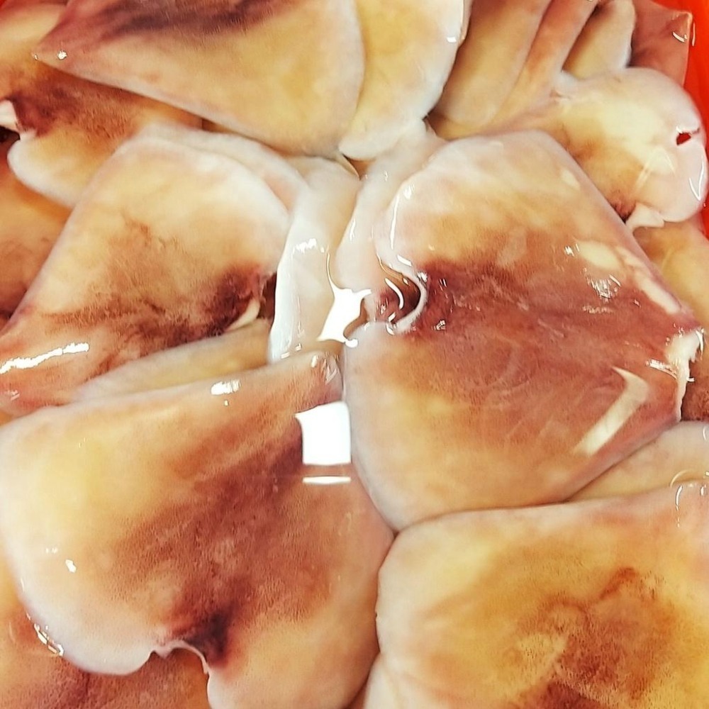 【全館999免運】大叔嚴選~魷魚（翅）（小）（整片）600克±10%-細節圖2