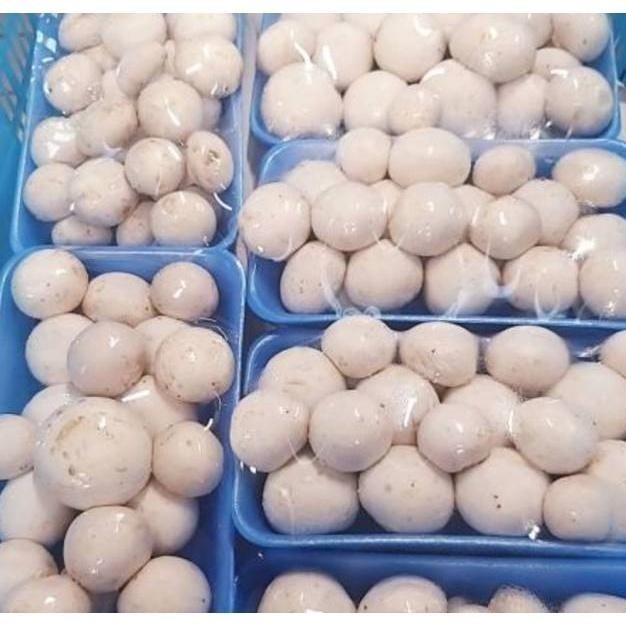 【全館999免運】大叔嚴選~洋菇-細節圖2