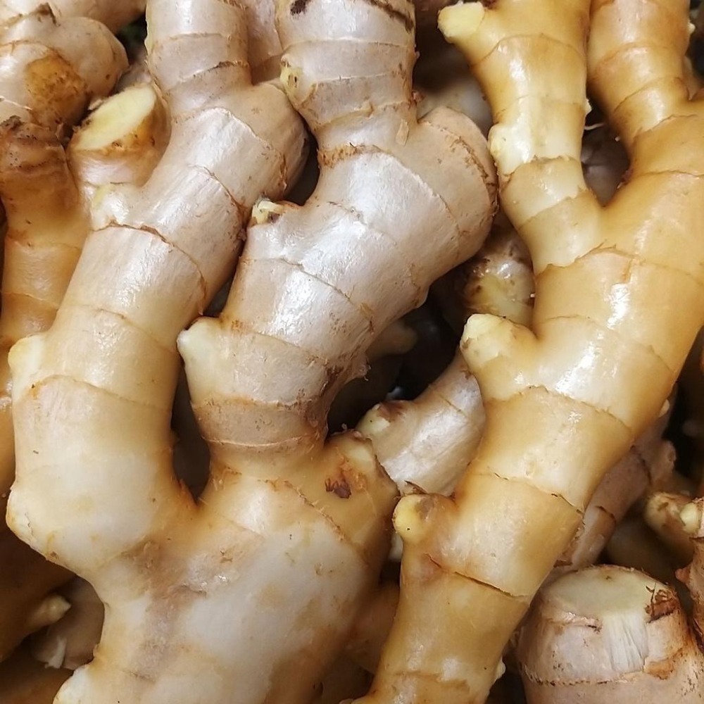 【全館999免運】大叔嚴選~嫩薑 (生薑)約300克±10%-細節圖2