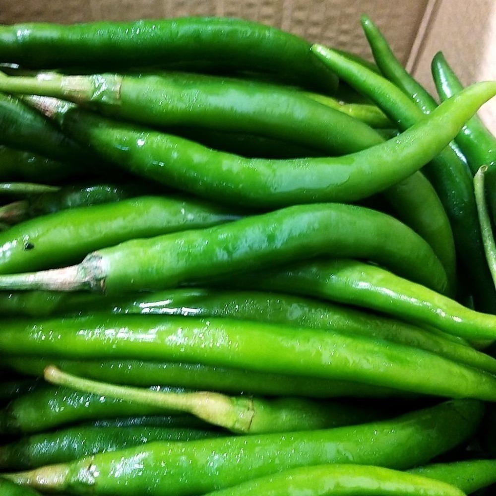 【全館999免運】大叔嚴選~青辣椒 約300克±10%-細節圖2