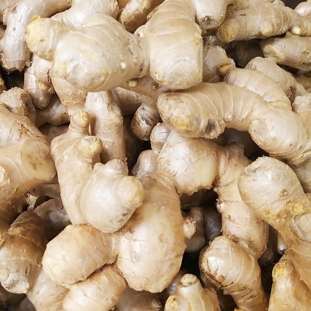 【全館999免運】大叔嚴選~老薑 約300克±10%-細節圖2