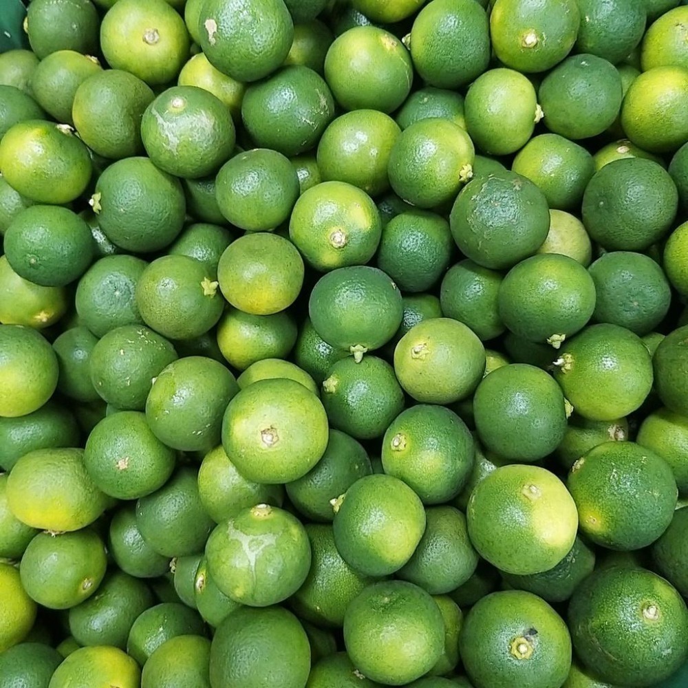 【全館999免運】大叔嚴選~金桔 約300克±10%-細節圖2