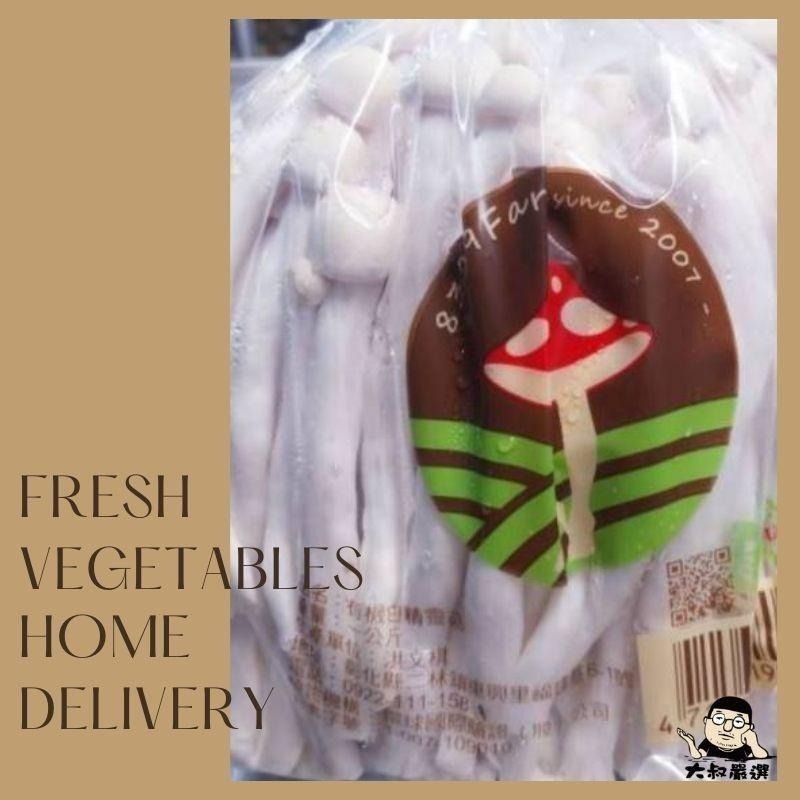 【全館999免運】大叔嚴選~白精靈菇 1000克±10%-細節圖2