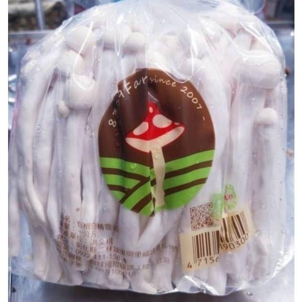 【全館999免運】大叔嚴選~白精靈菇 1000克±10%-細節圖3