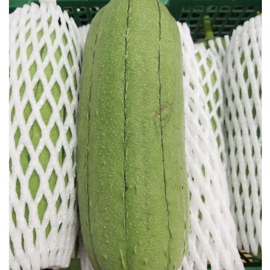 【全館999免運】大叔嚴選~絲瓜(特)  1顆/約500-600克±10%-細節圖2