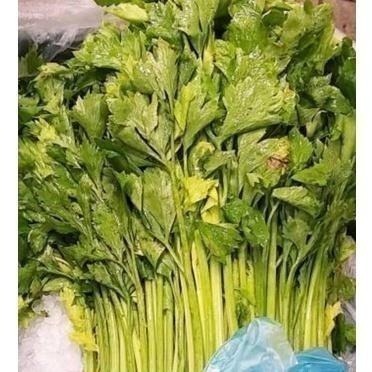 【全館999免運】大叔嚴選~芹菜 約300克±10%-細節圖2