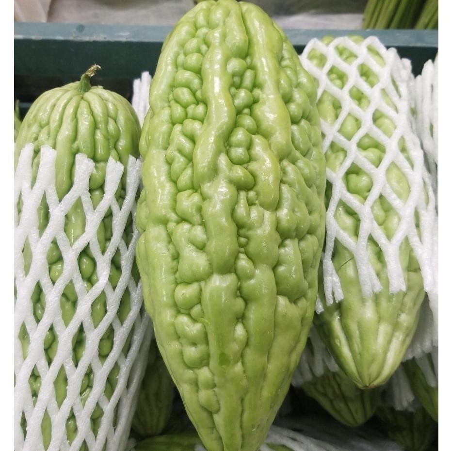 【全館999免運】大叔嚴選~青苦瓜 約500-600克±10%-細節圖2
