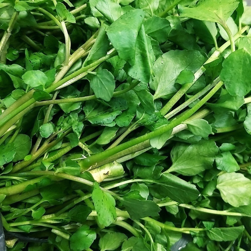 【全館999免運】大叔嚴選~西洋菜/水田芥 約300克±10%-細節圖2