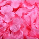 漸層粉色花瓣1包