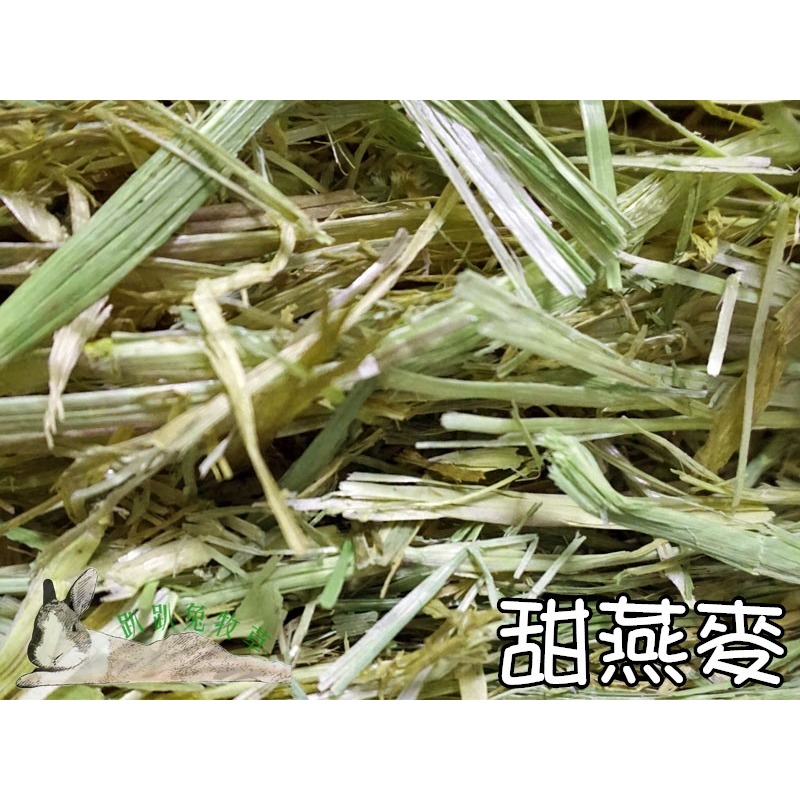 趴趴兔牧草◆自有牧草系列 提摩西 一割/二割/三割/美國苜蓿/甜燕麥 手工過篩/未過篩-細節圖4