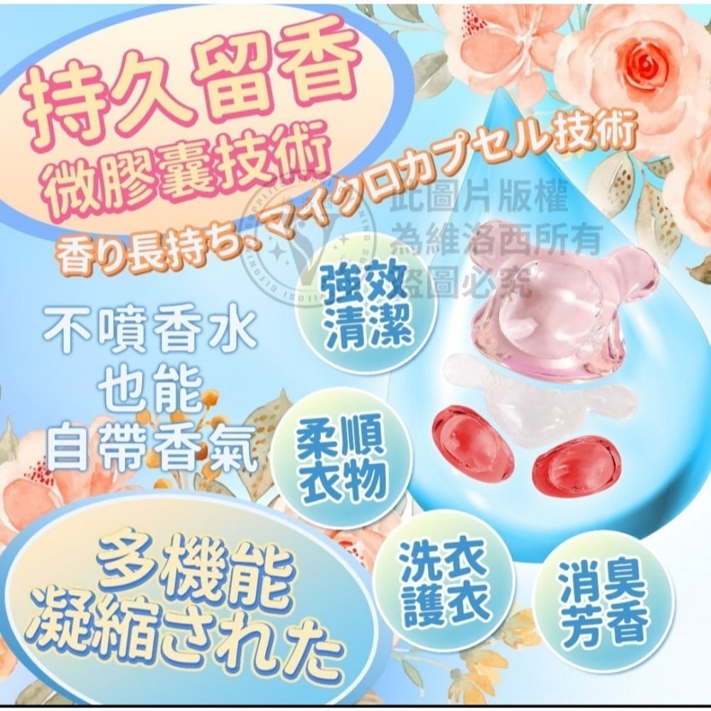 ※13.9倍濃縮※超人氣 維洛西波利熊多效洗衣膠囊,洗衣香香球 抗菌洗衣膠囊-細節圖3