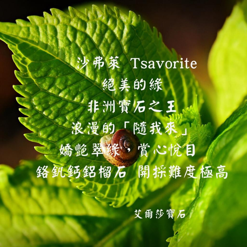 【艾爾莎寶石】氣質款！1ct 天然無燒沙弗萊 Tsavorite 925銀鍍厚白K 華麗美墜-細節圖3