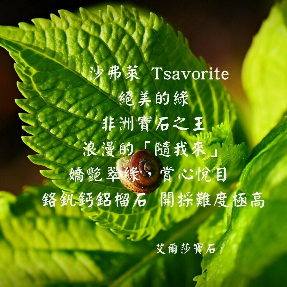 【艾爾莎寶石】40分 火光閃閃 天然無燒沙弗萊 Tsavorite 925純銀美戒 國際固定12圍 簡約風-細節圖2