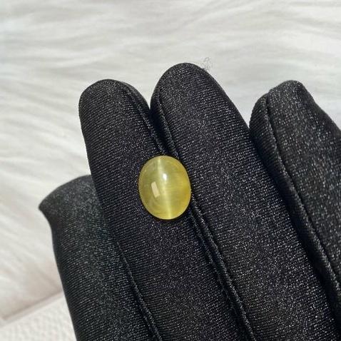 【艾爾莎寶石】7.33ct 蜂蜜色澎蛋！似金綠玉貓眼！天然無燒磷灰石貓眼 Apatite Cat＇s Eye-細節圖2